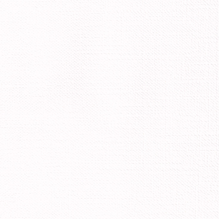 チップ画像