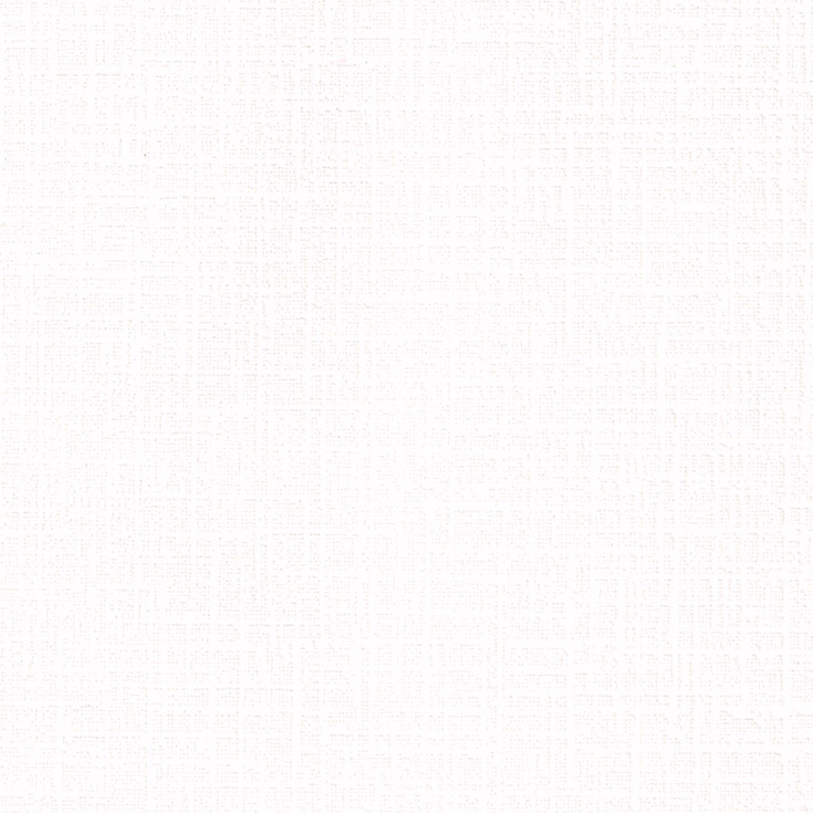 チップ画像