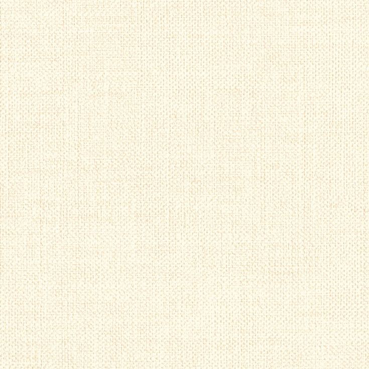 チップ画像
