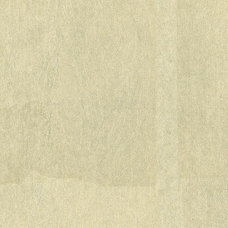 チップ画像