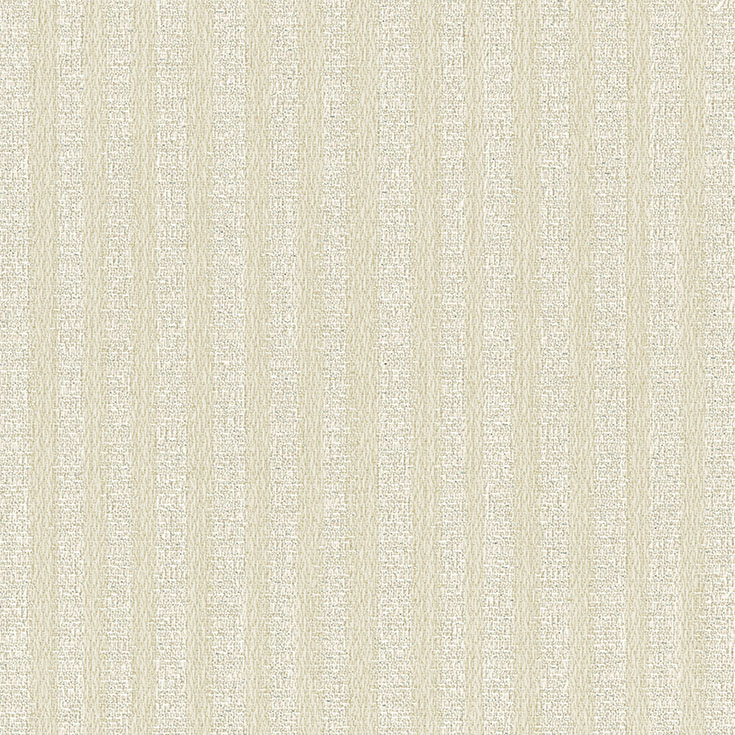 チップ画像