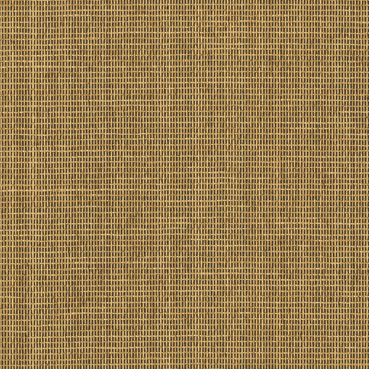 チップ画像