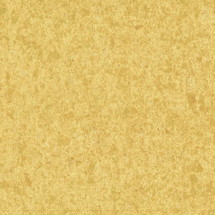チップ画像