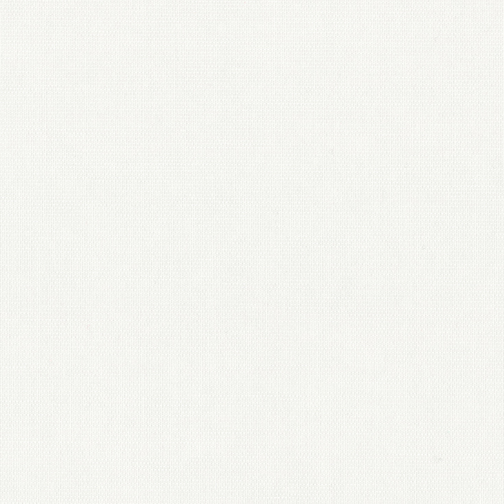 チップ画像