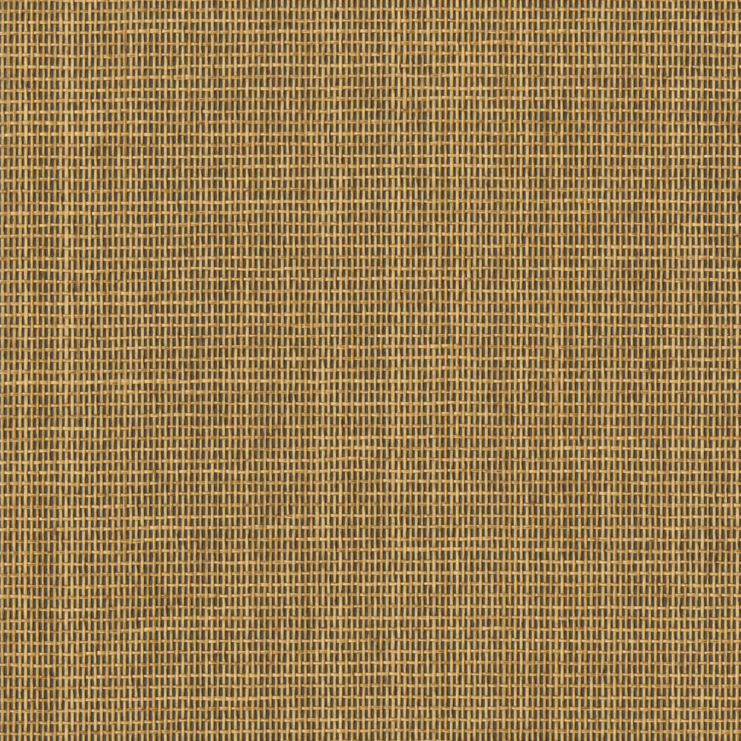 かみ ページ Alpha pattern #161896 | BraceletBook