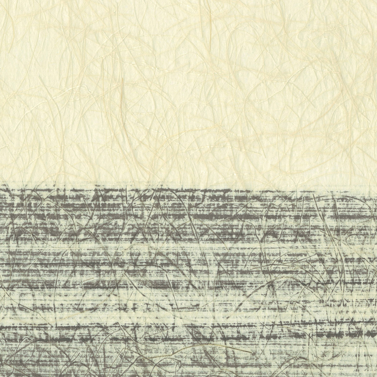 LMT-16179 Lilycolor MATERIALS 2024- ｜商品詳細｜商品検索