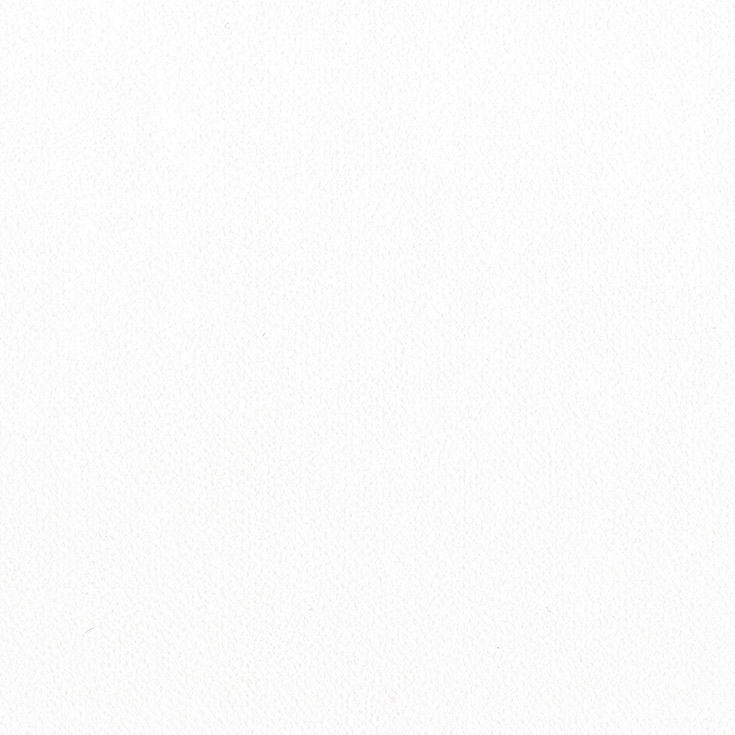 チップ画像