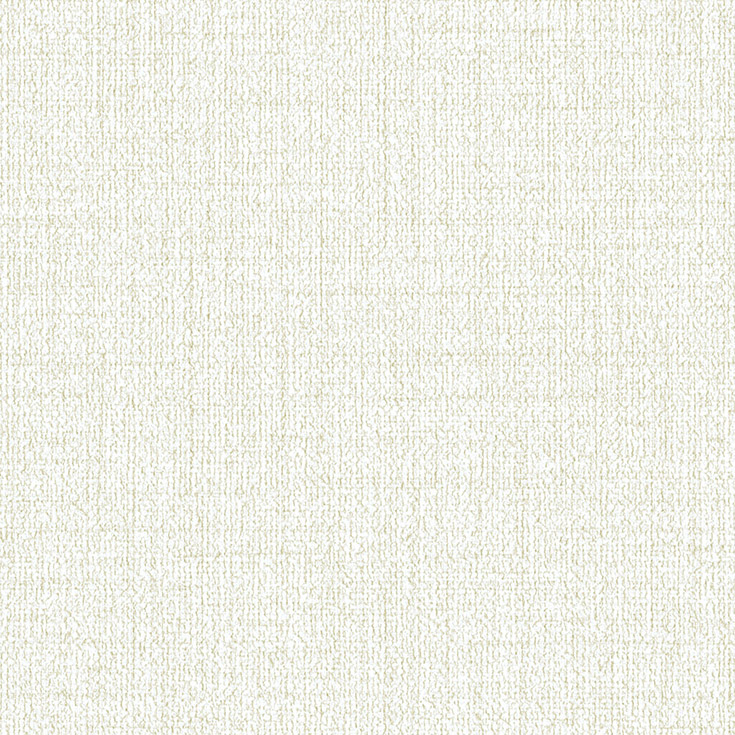 チップ画像