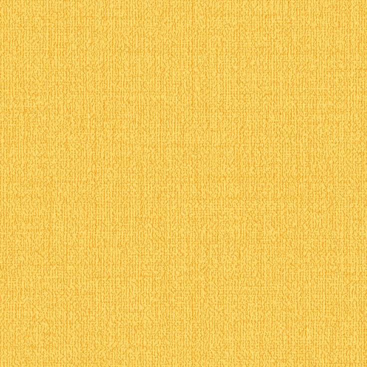 チップ画像
