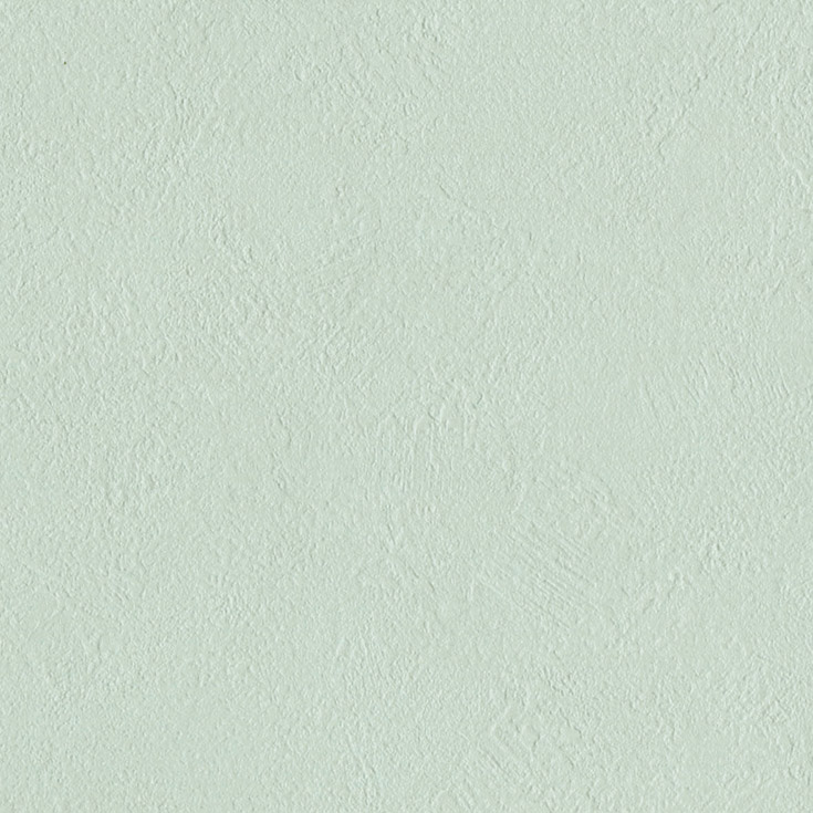 チップ画像