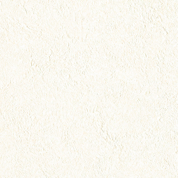 チップ画像