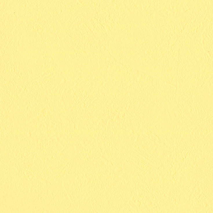 チップ画像