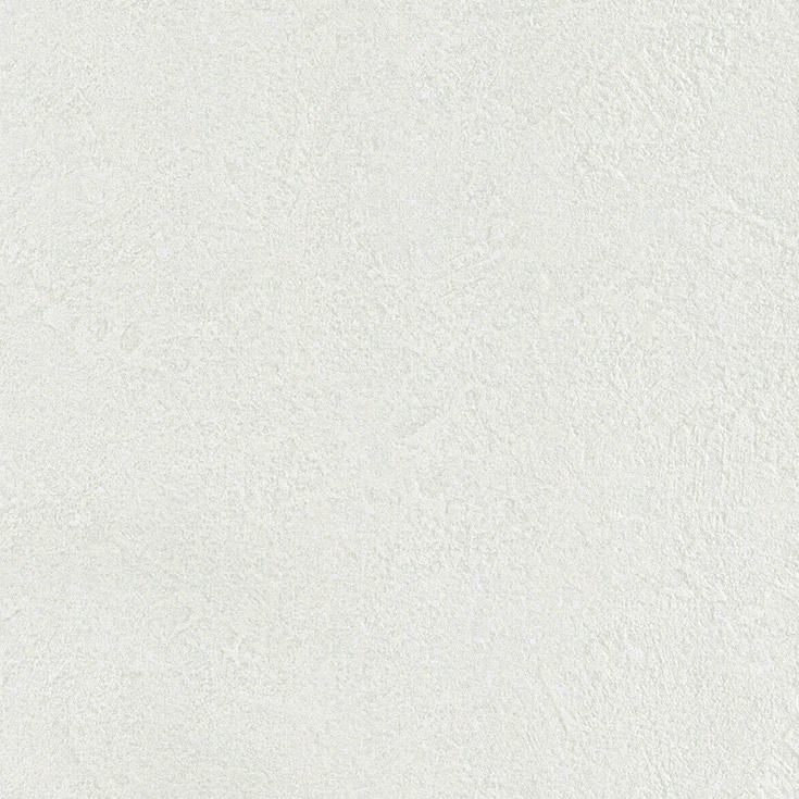 チップ画像
