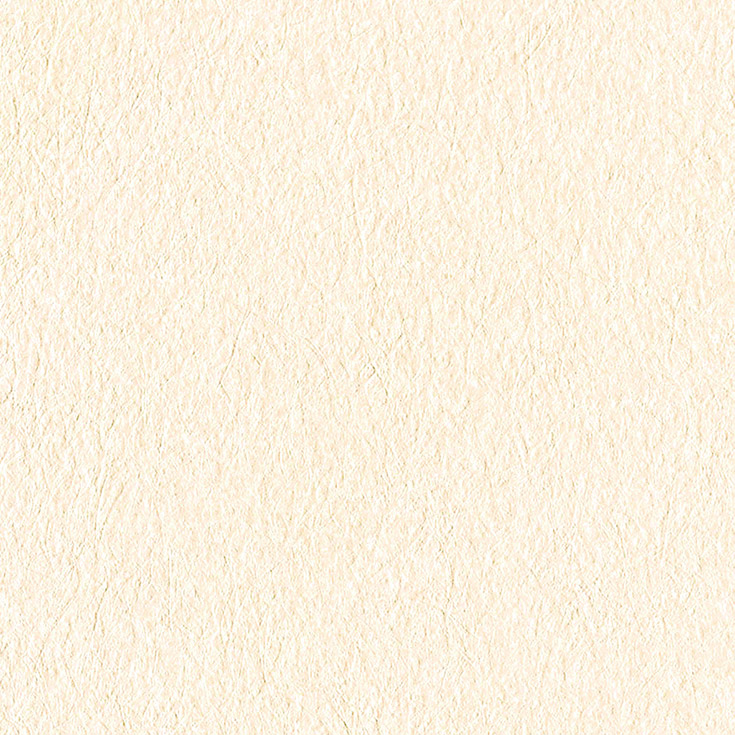 チップ画像