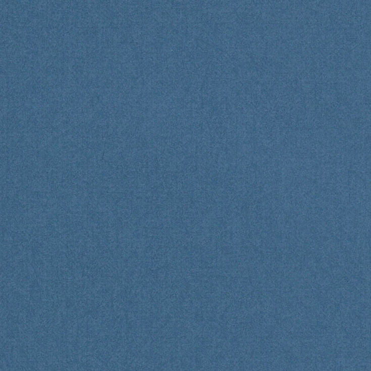 チップ画像