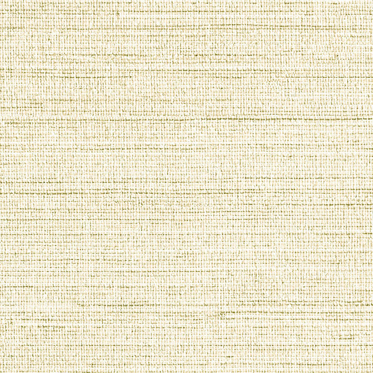 チップ画像