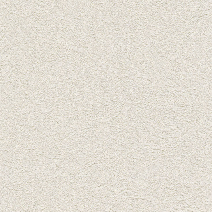 チップ画像