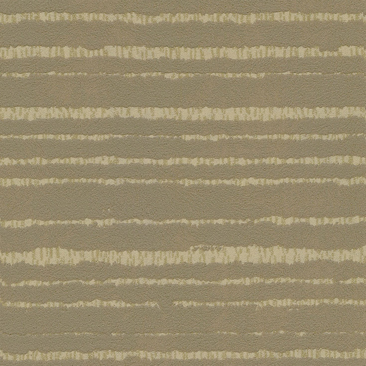 チップ画像