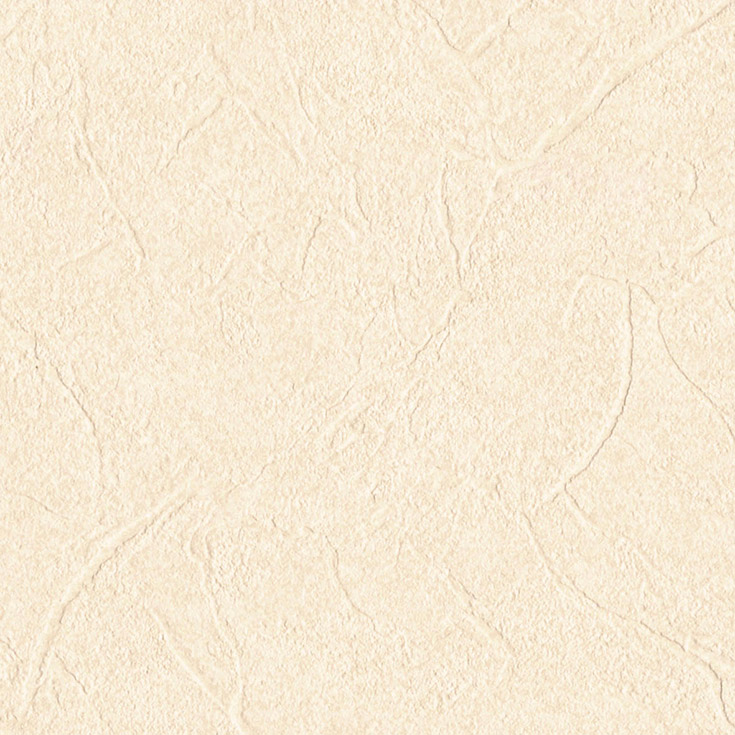 チップ画像