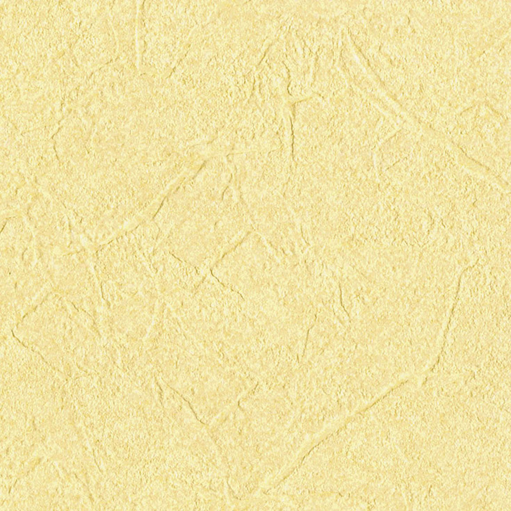 チップ画像