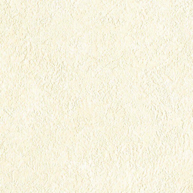 チップ画像
