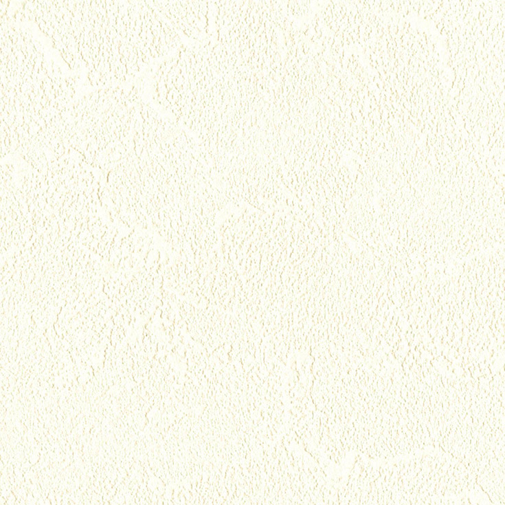 チップ画像