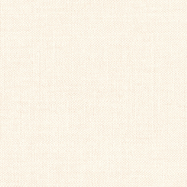 チップ画像