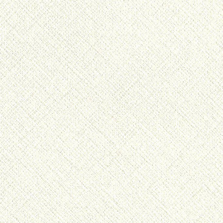 チップ画像