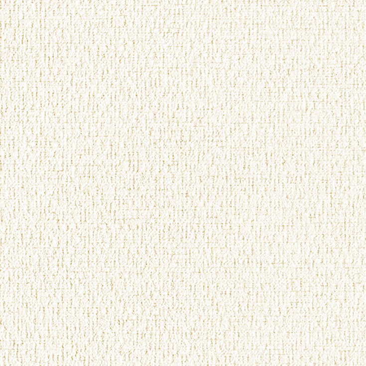 チップ画像