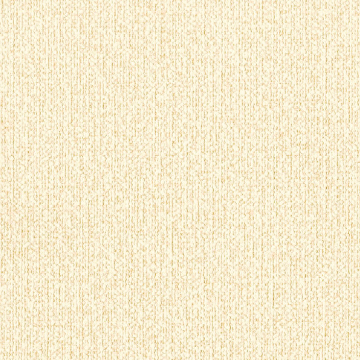 チップ画像