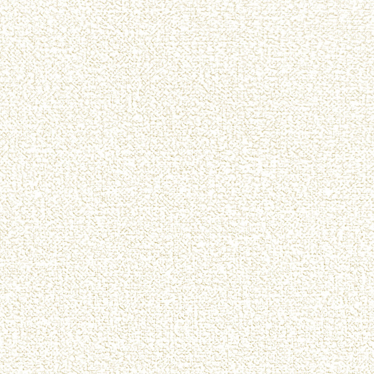 チップ画像