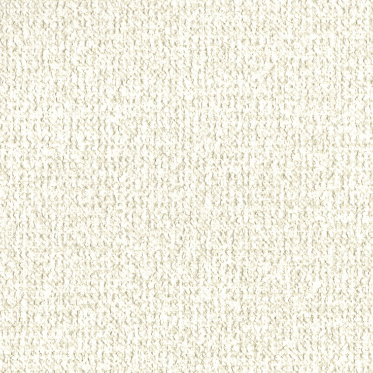 チップ画像
