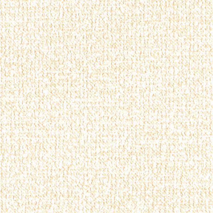 チップ画像