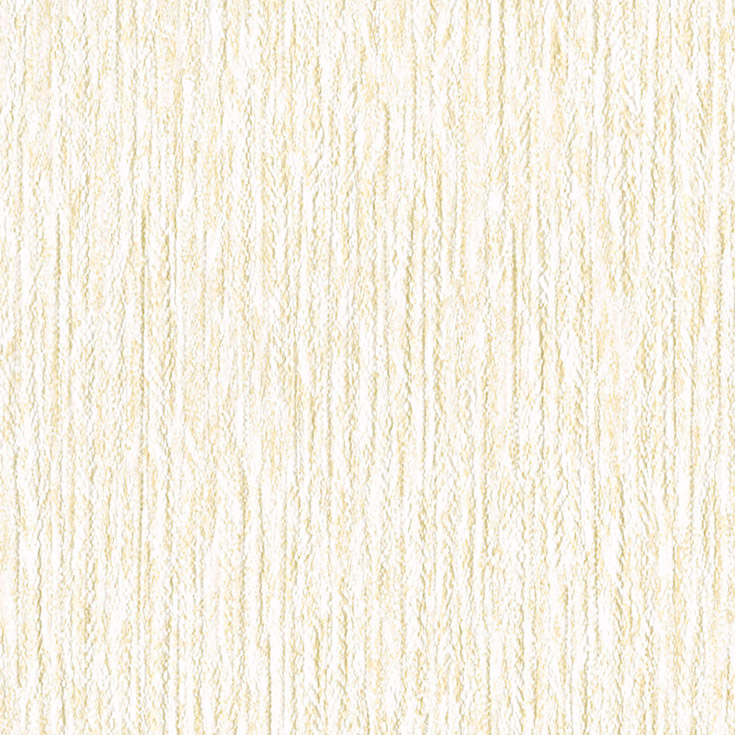 チップ画像