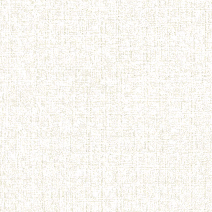 チップ画像