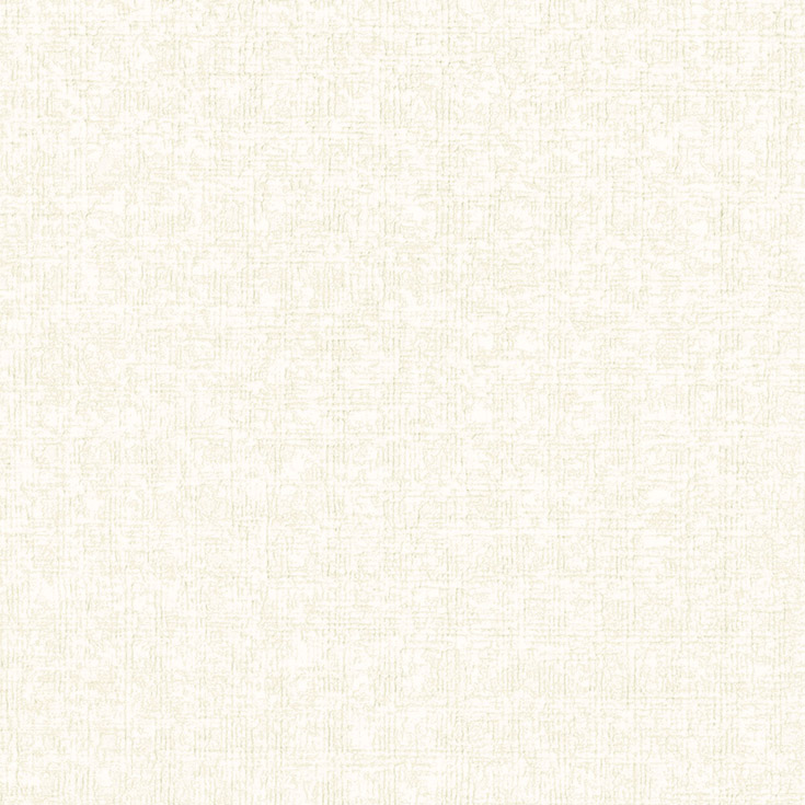 チップ画像