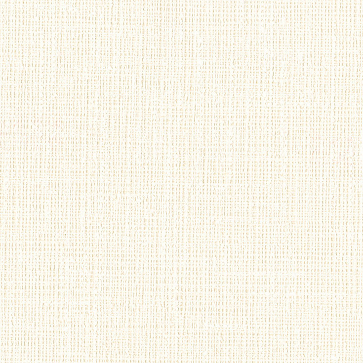 チップ画像