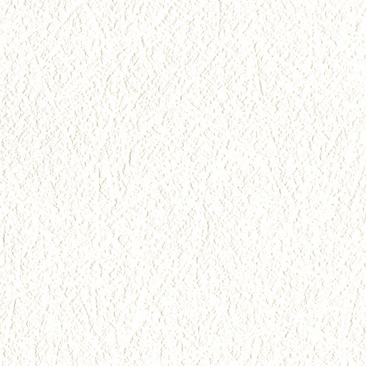 チップ画像