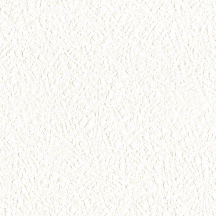チップ画像
