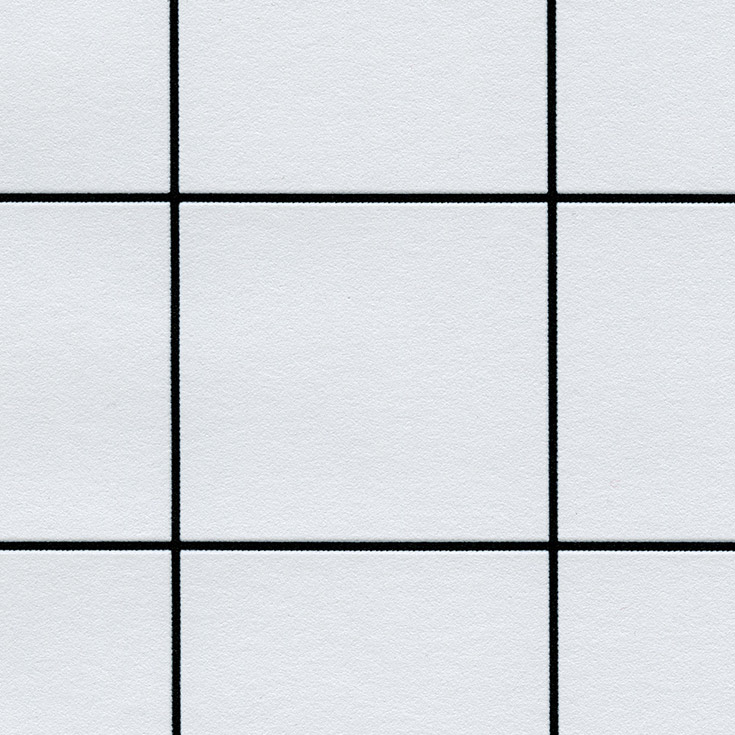 チップ画像