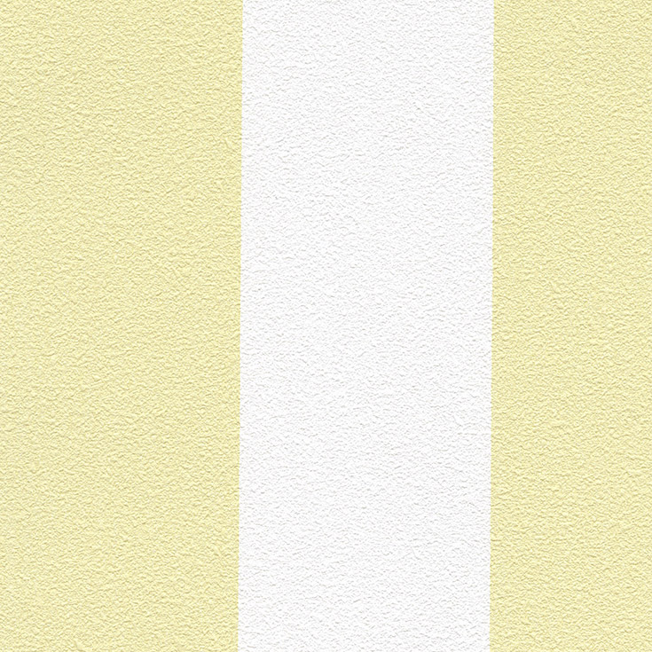 チップ画像