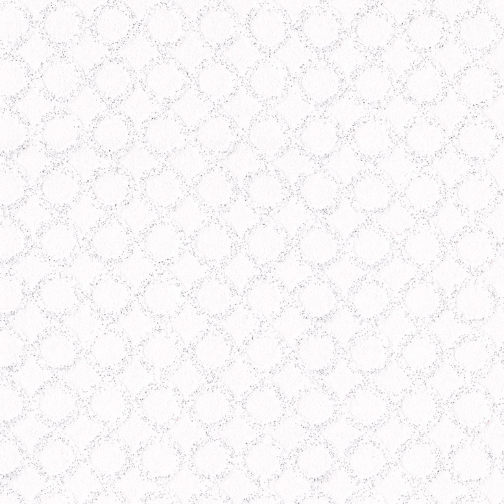 チップ画像