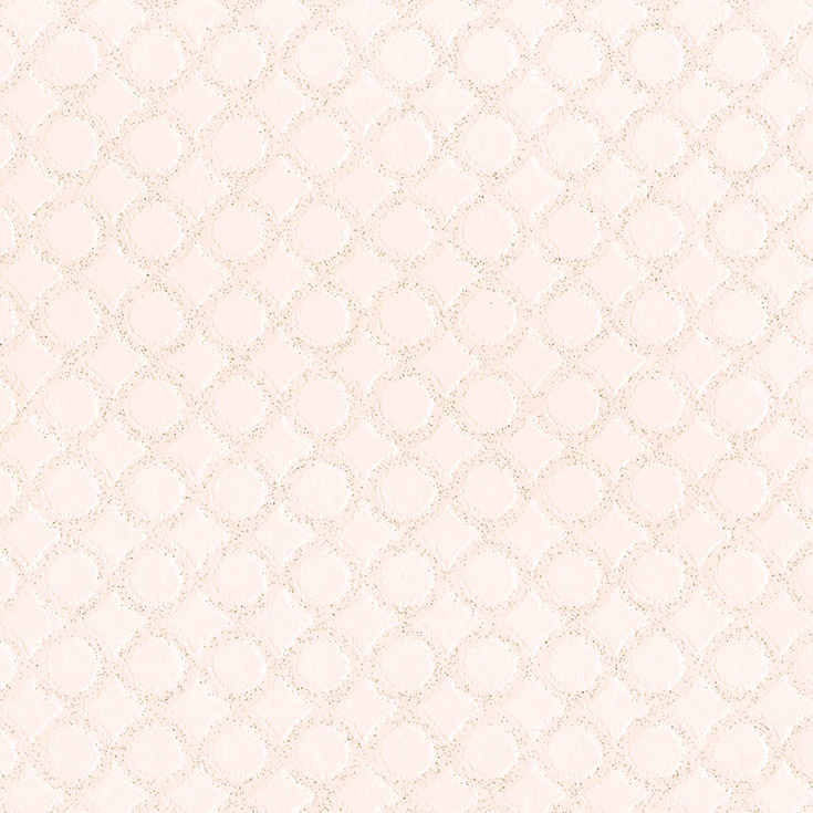 チップ画像