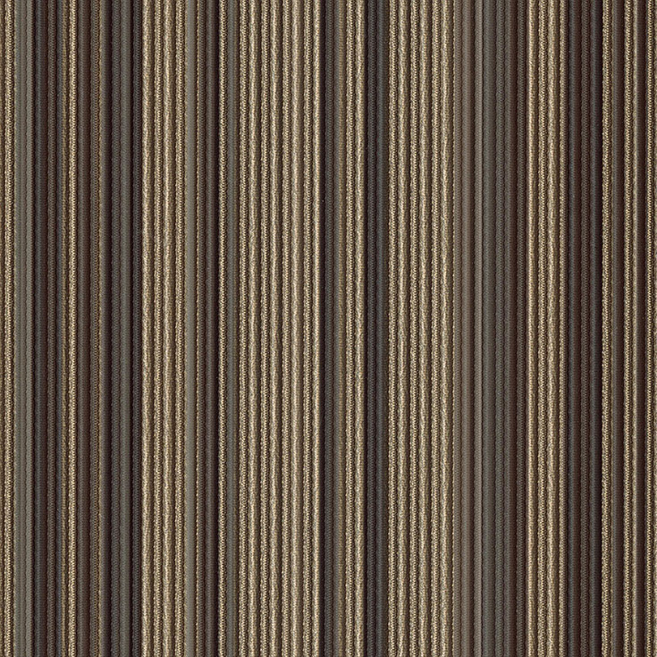 チップ画像