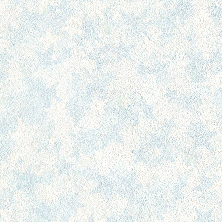 チップ画像