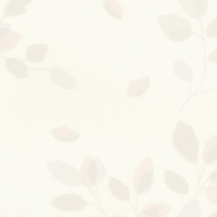 チップ画像