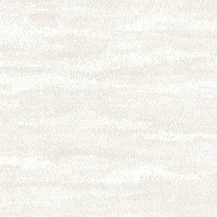 チップ画像