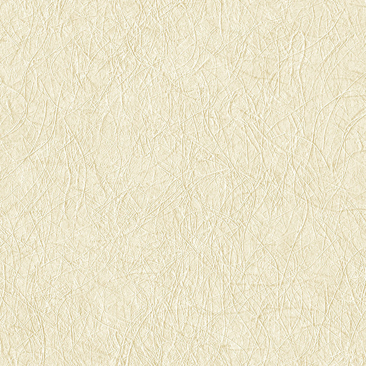 チップ画像