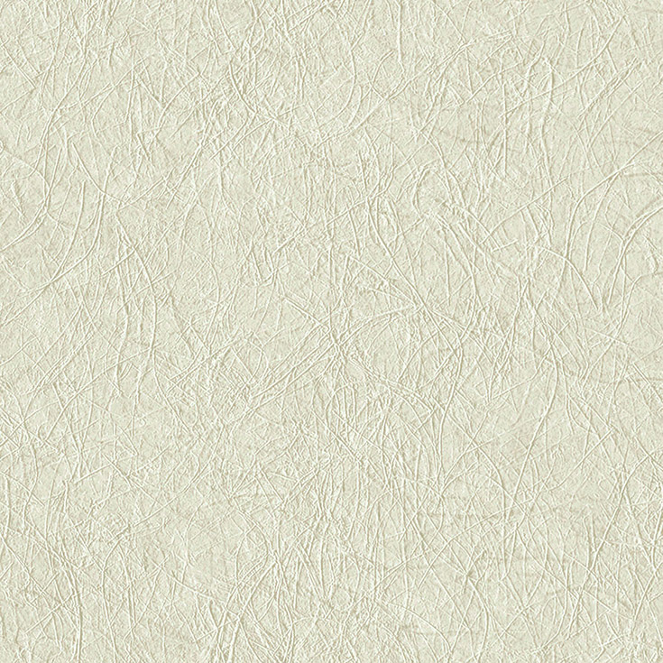 チップ画像