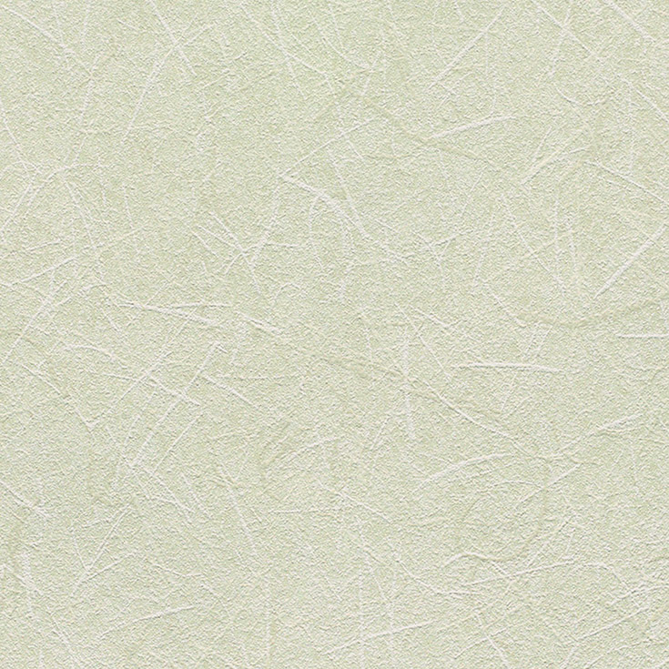 チップ画像